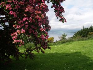 Gro�britannien at its best: weite Wiesen und bl�hende B�ume