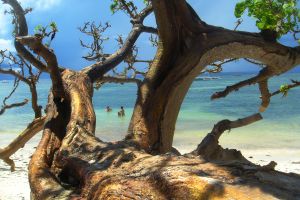 Malerische Strand-Sch�nheit
